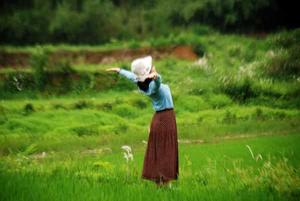 乡情邀约，诗意远方，凝神体验，适宜在乡村风貌中潜心品读。
