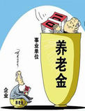 养老金（二）